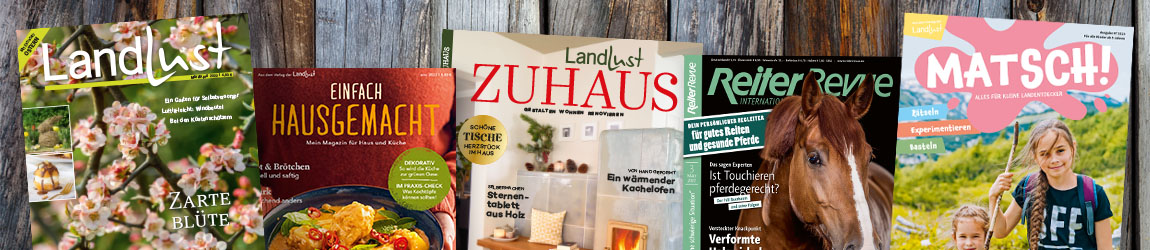 Zeitschriften Panorama